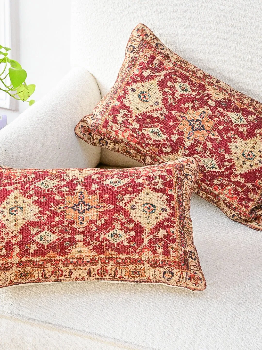 DAUCUS - LUMBAR CUSHION COVER